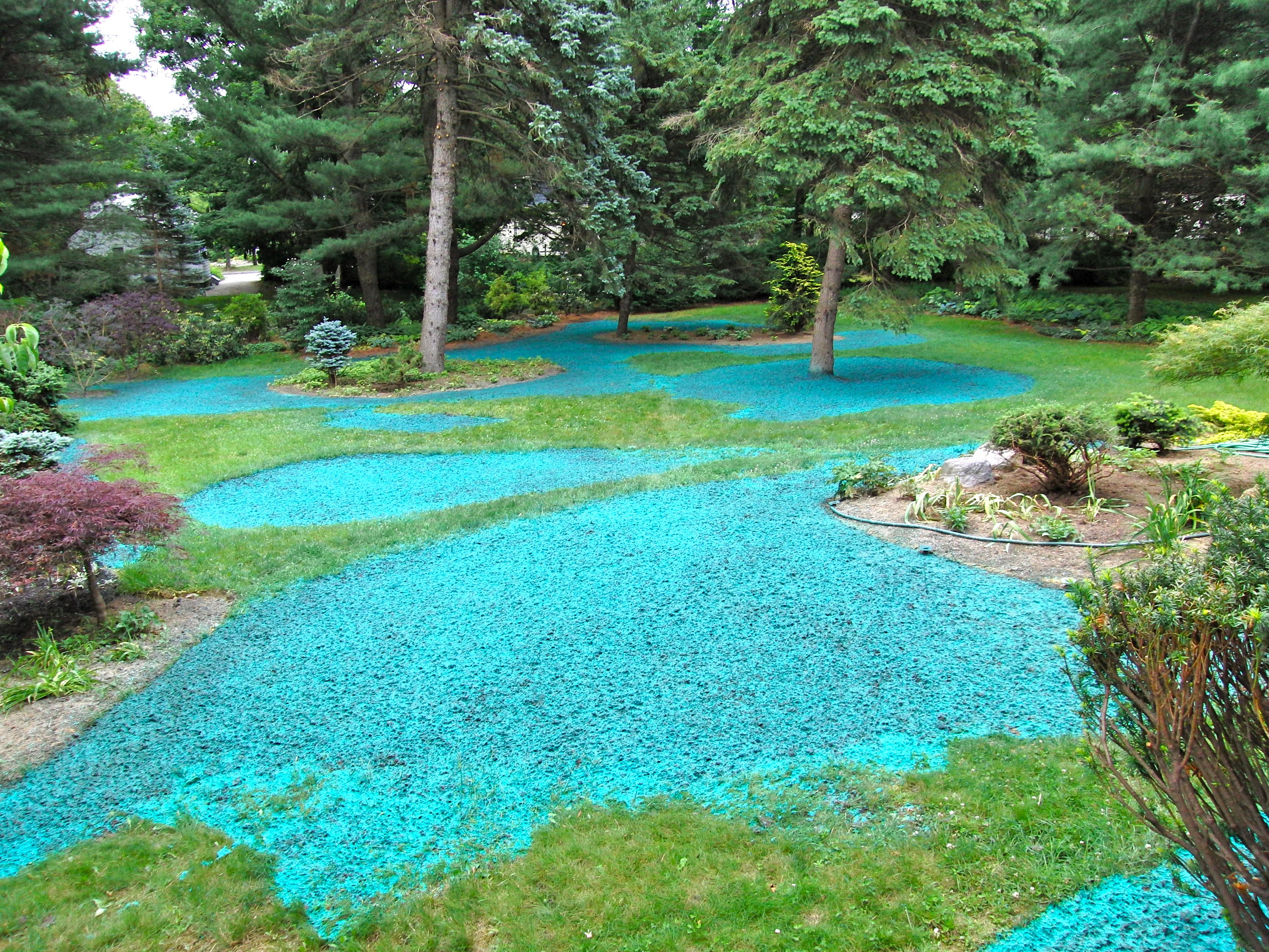 Hydroseeded