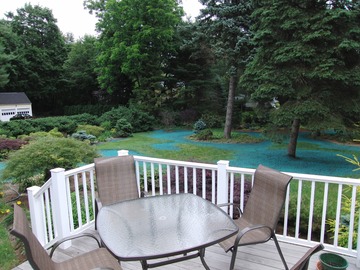 From the deck