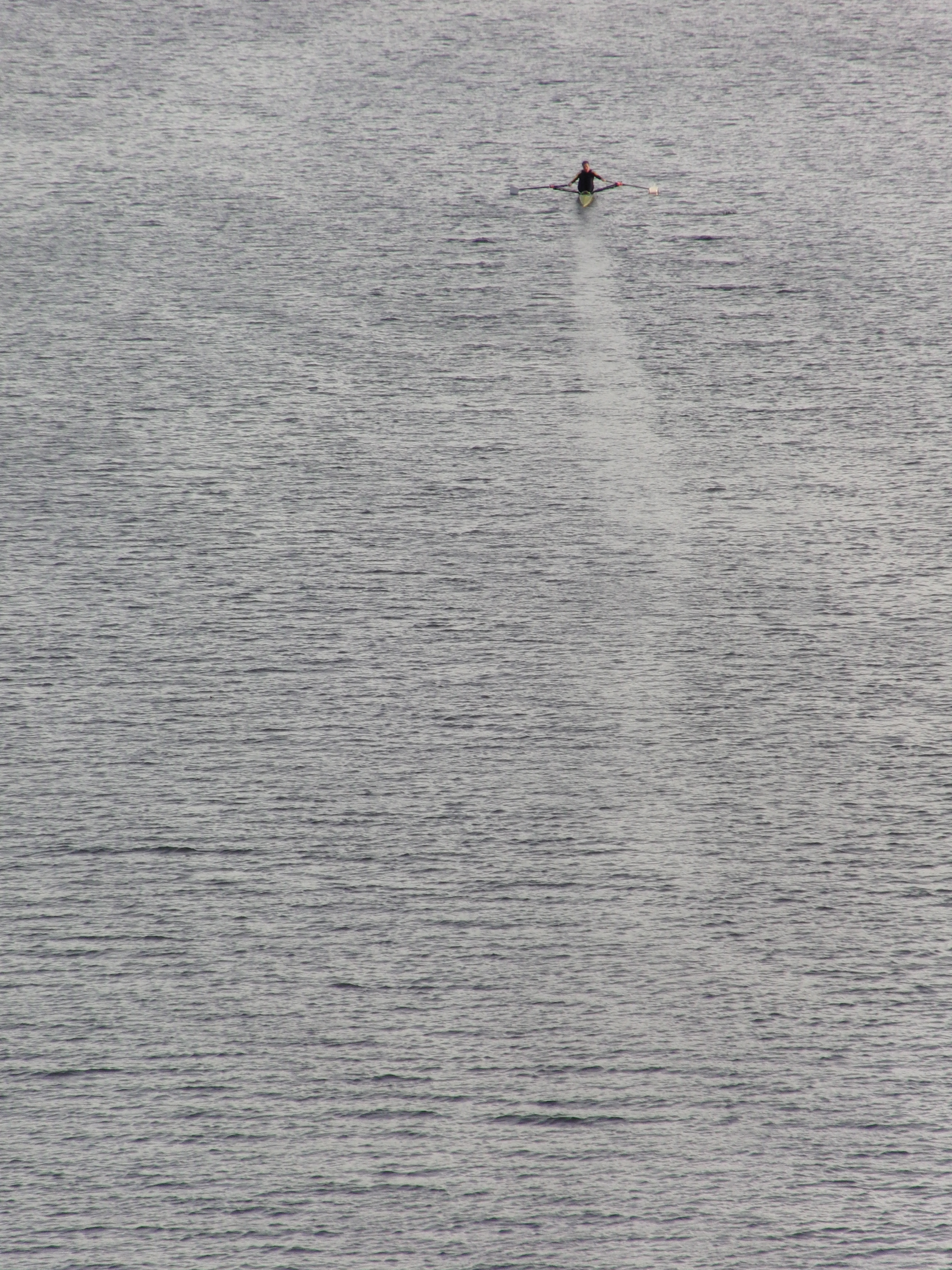 Rower on Schuylkill