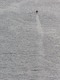 Rower on Schuylkill