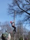 Pole capping day in Bedford