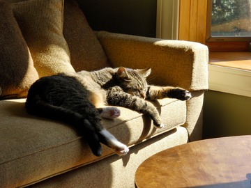Artie knows how to relax