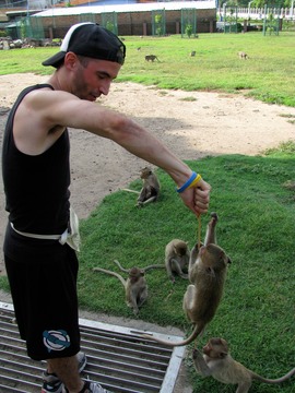 Ross in monkeytown