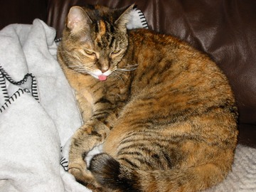 TC sticks out her tongue