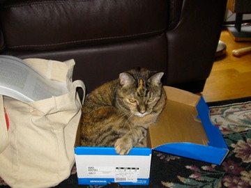TC in a box