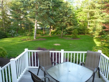 37 Fletcher back yard