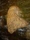Secret Cave