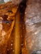 100 ft waterfall in Secret Cave