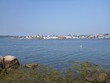 Gloucester Harbor