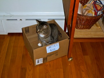 Who's in Artie's Box?
