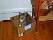 Artie!