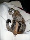 TC sleeping