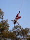 Voladores