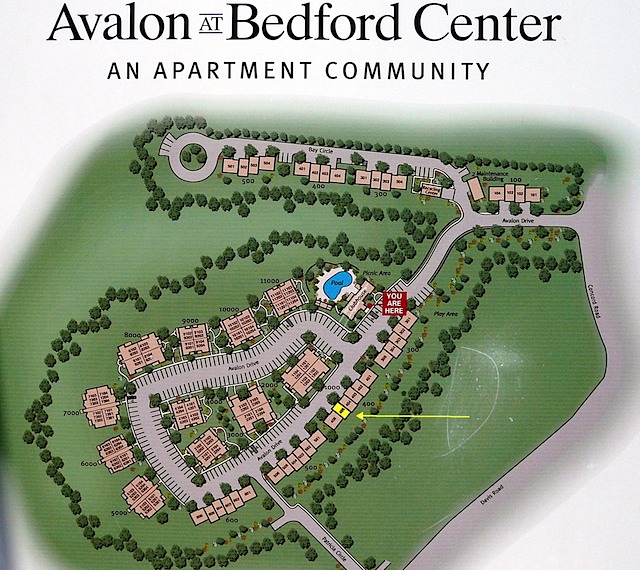 Avalon Bedford