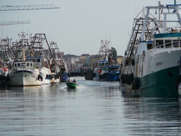 Chioggia