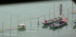 Fishing boats