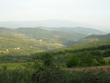 View from Il Trebbiolo
