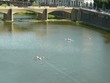 Rowers on the Arno