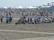 Wildwood ultimate fields