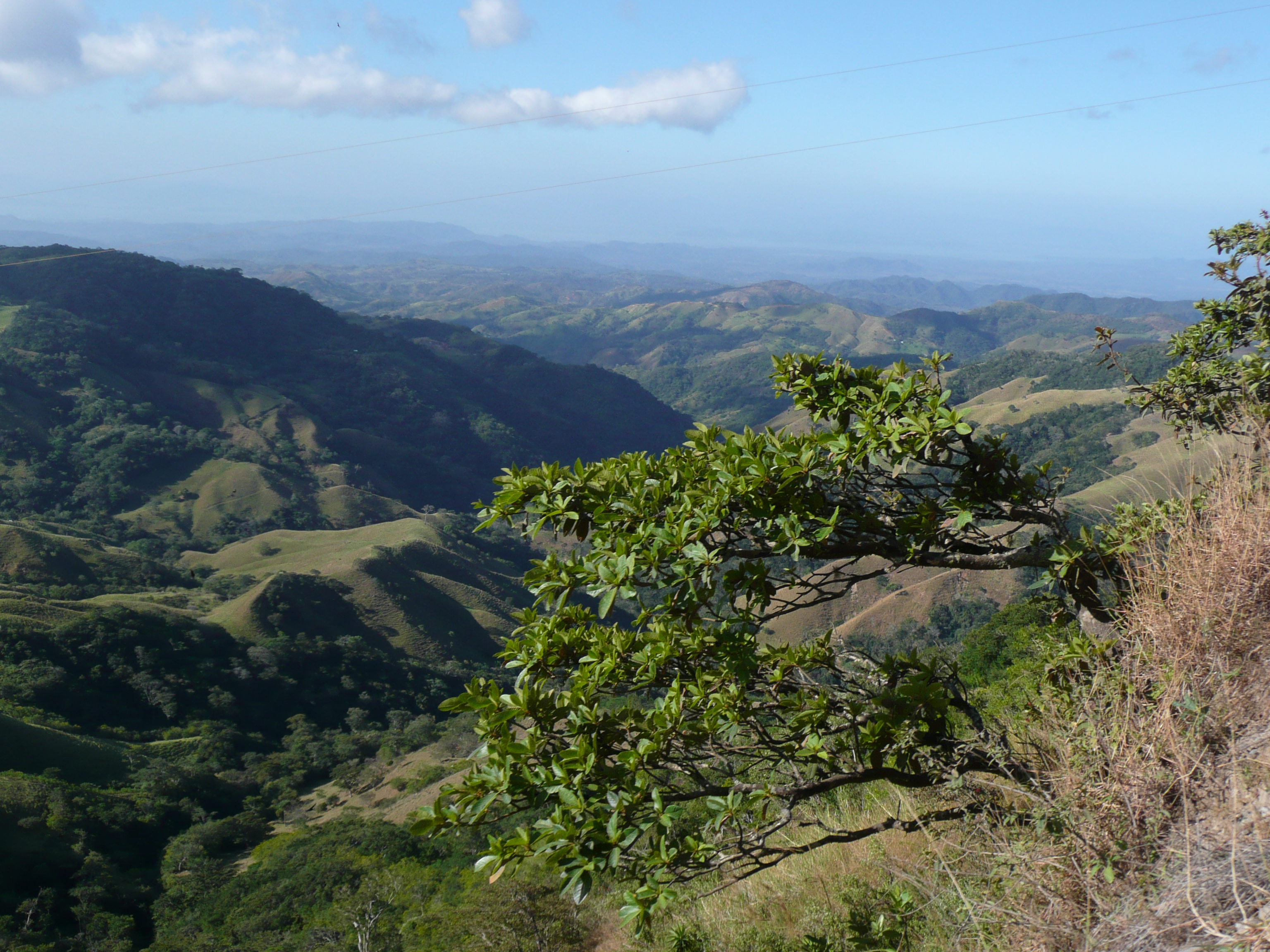 Driving toward the Pacific