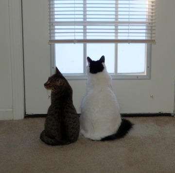 Artie and Casey share the outside view