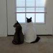 Artie and Casey share the outside view
