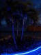 Palms just after sunset from the Red Parrot