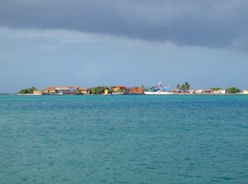 DePalm Island