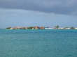 DePalm Island