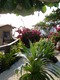 Garden at docks for DePalm I.