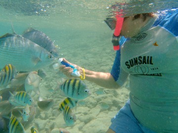 Kathy feeds fish