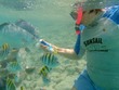 Kathy feeds fish