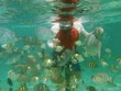 Ben feeds fish