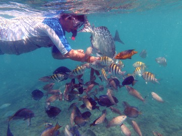 Kathy feeds fish