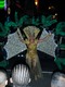 Crazy costumes...