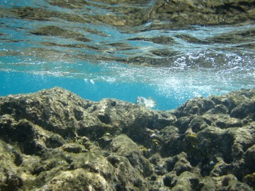 Water surface near cave