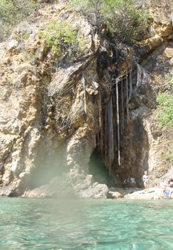 Cave with roots