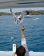 Gull eating from Ben's hand