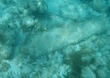 Cannon 1 at Eustatia