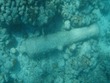 Cannon 2 at Eustatia
