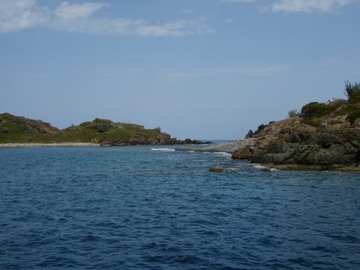 Between the Seal Dogs
