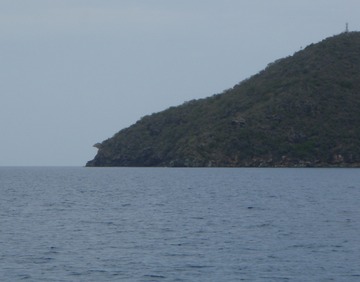 The guana head on Guana I
