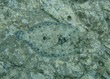 Peacock Flounder