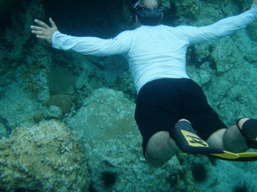 Benfish