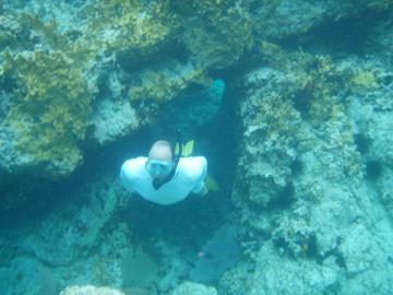 Benfish in coral arch