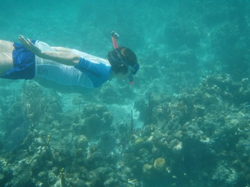 Kathyfish
