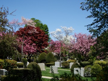 Spring in the Jewish Cemetery in Wakefield