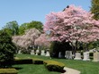 Spring!