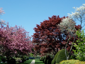 Spring!
