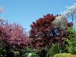 Spring!